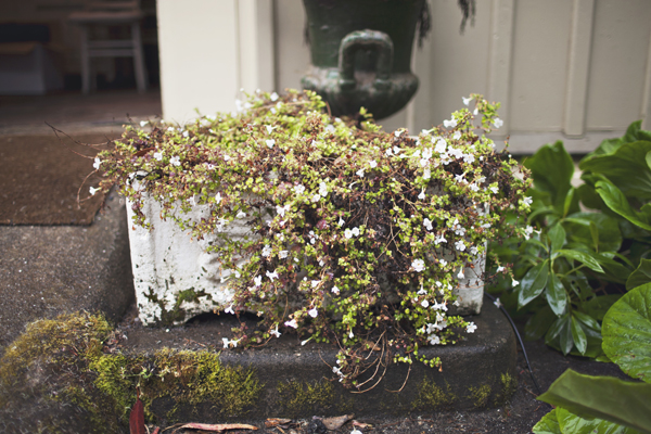 intimate-and-eclectic-northern