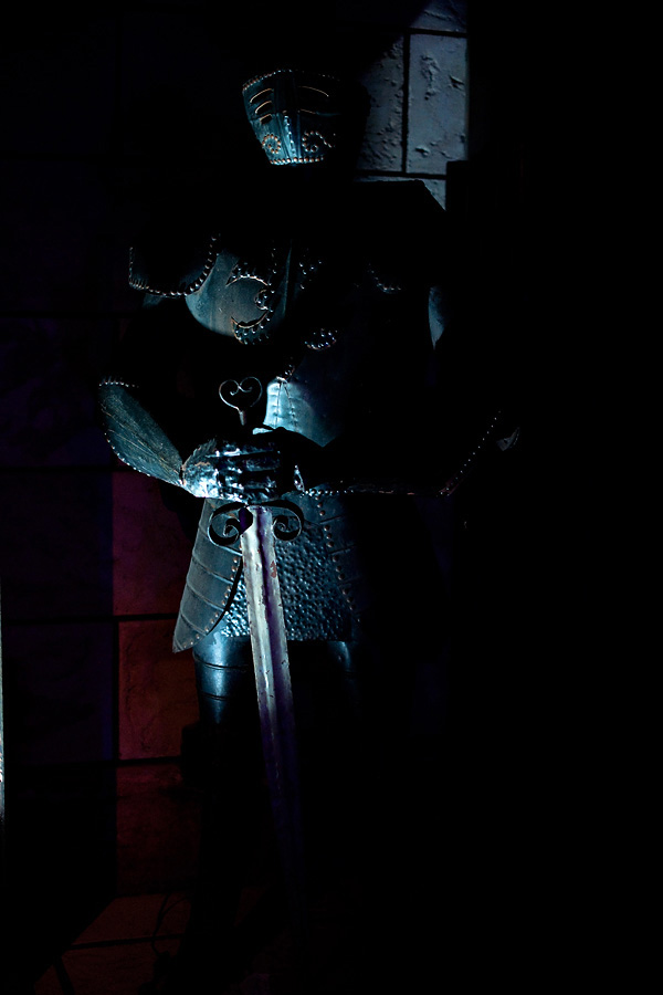 los-angeles-medieval-wedding-ideas