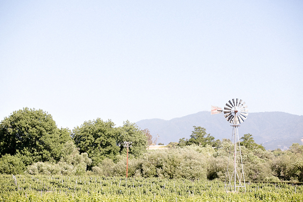 romantic-vineyard-wedding-lincourt