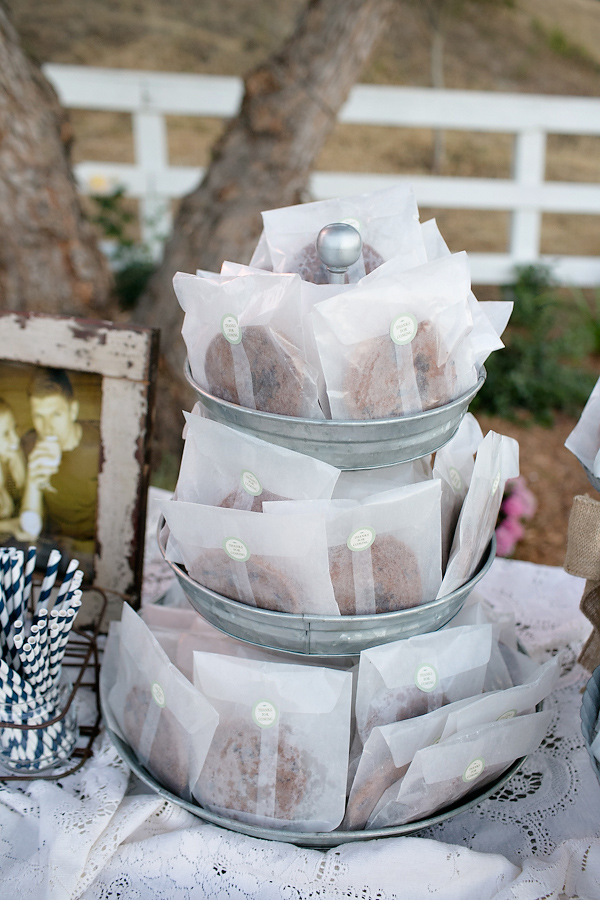 romantic-vineyard-wedding-lincourt
