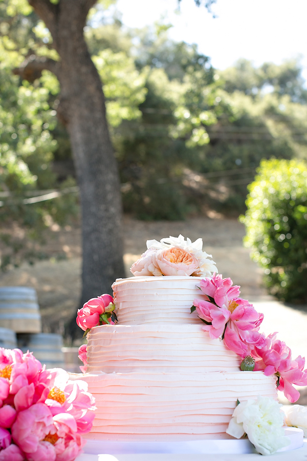 romantic-vineyard-wedding-lincourt