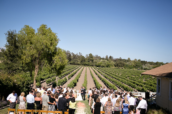 romantic-vineyard-wedding-lincourt