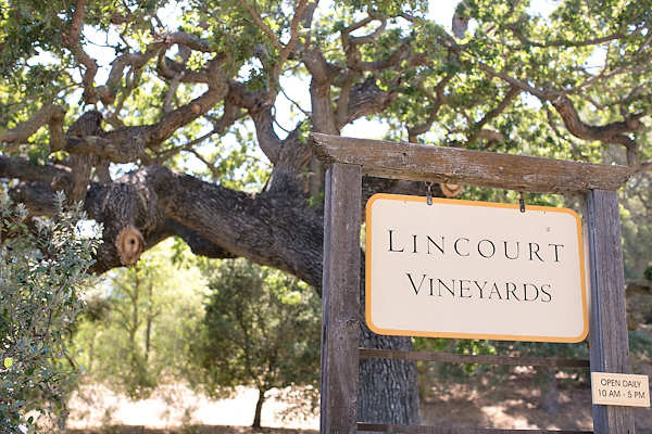 romantic-vineyard-wedding-lincourt