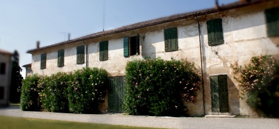 A purple and pink wedding in Italy