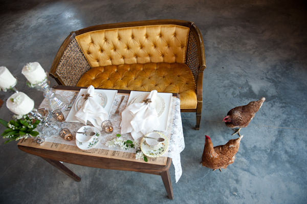 bird-s-eye-cove-farm-a-vancouver