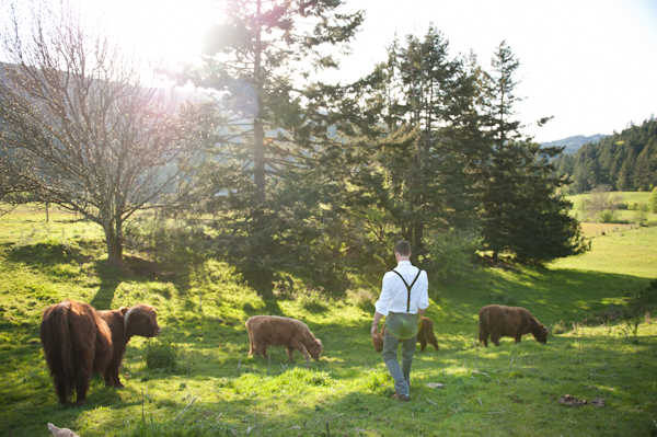 bird-s-eye-cove-farm-a-vancouver