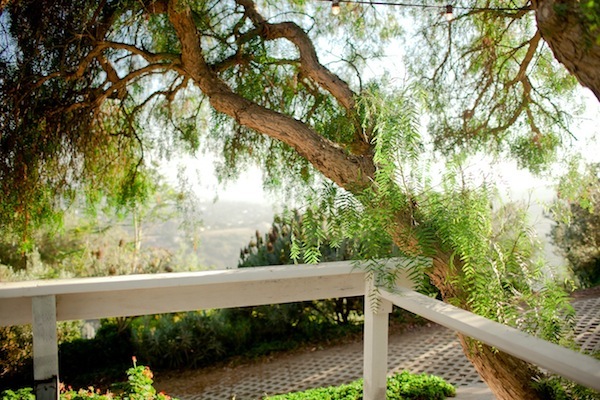 black-and-pink-malibu-wedding