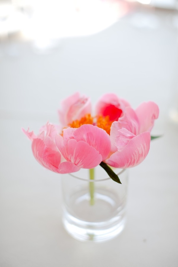 black-and-pink-malibu-wedding