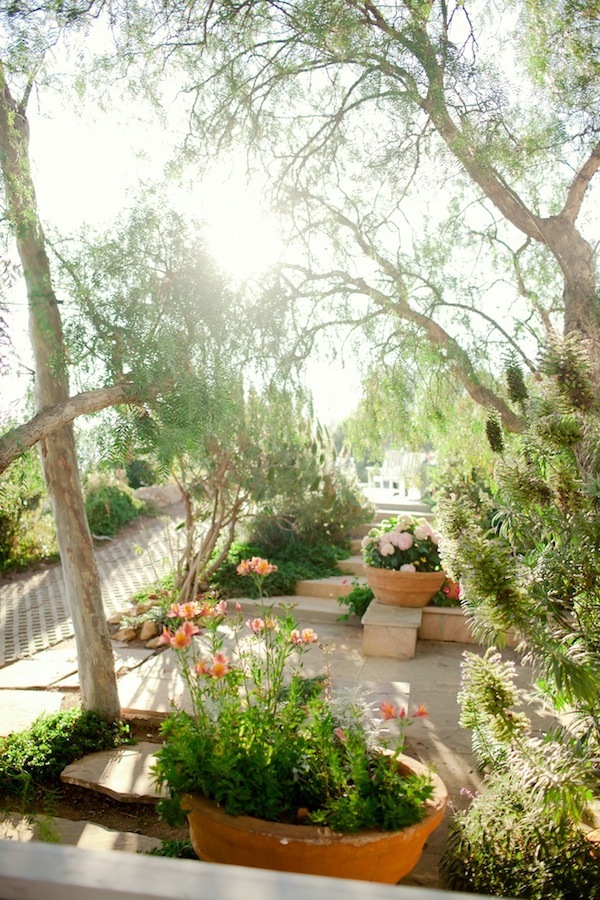 black-and-pink-malibu-wedding