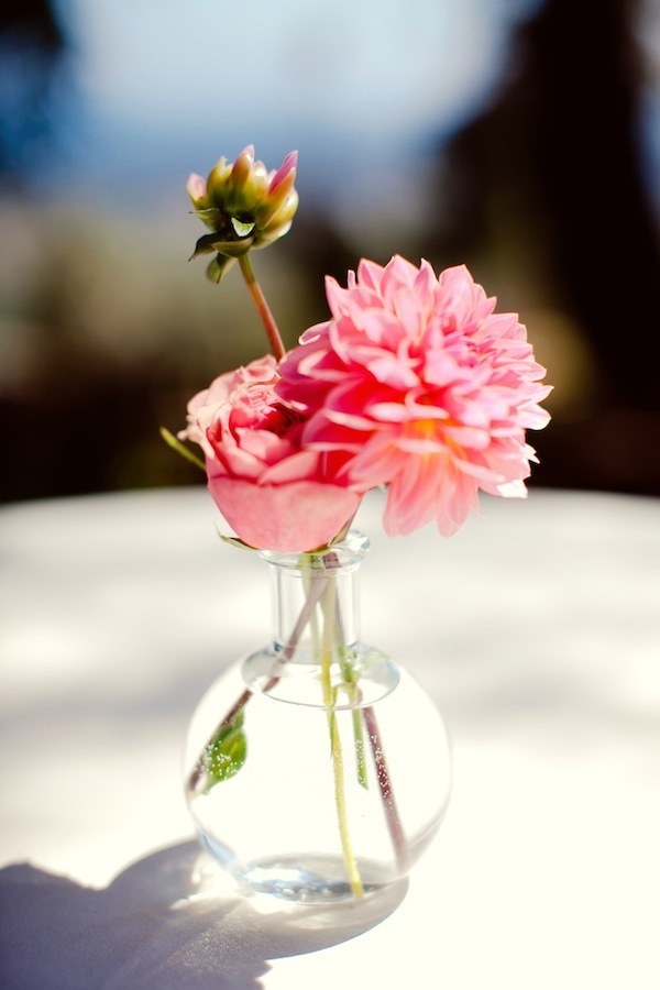 black-and-pink-malibu-wedding