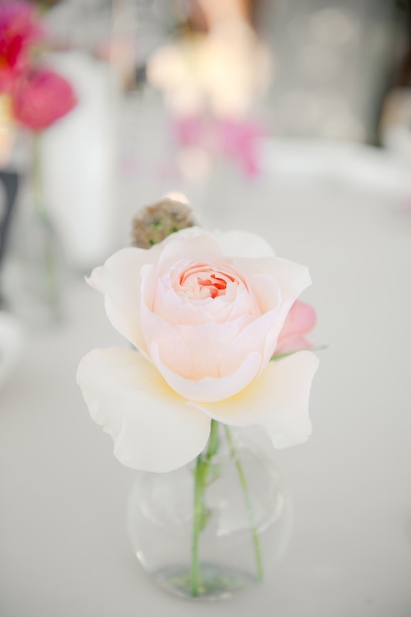 black-and-pink-malibu-wedding