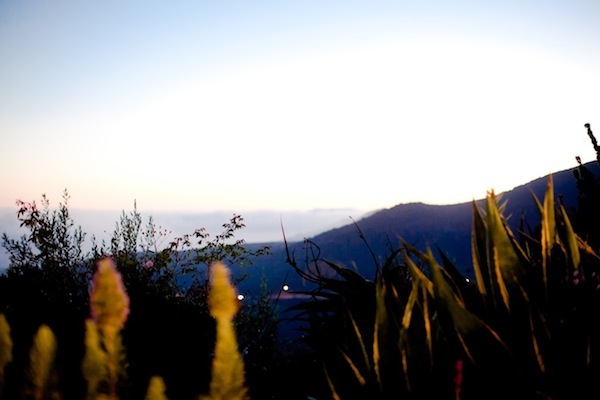 black-and-pink-malibu-wedding