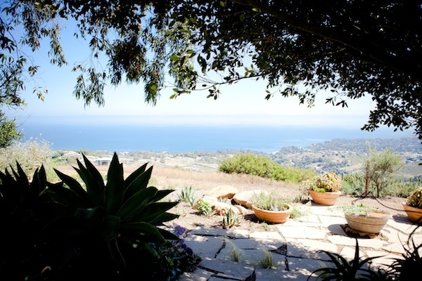 black-and-pink-malibu-wedding