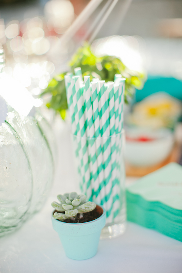 central-coast-aqua-and-poppy-wedding
