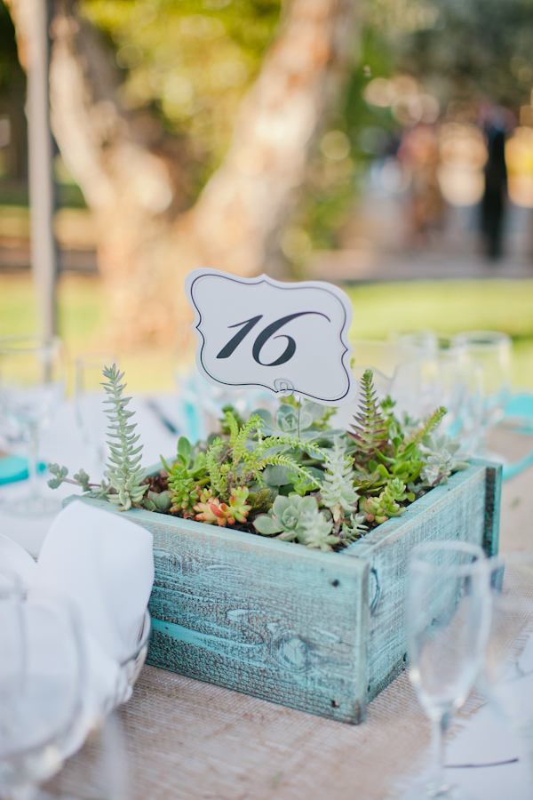 central-coast-aqua-and-poppy-wedding