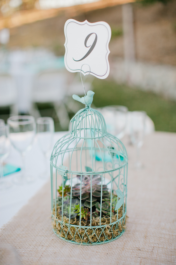 central-coast-aqua-and-poppy-wedding
