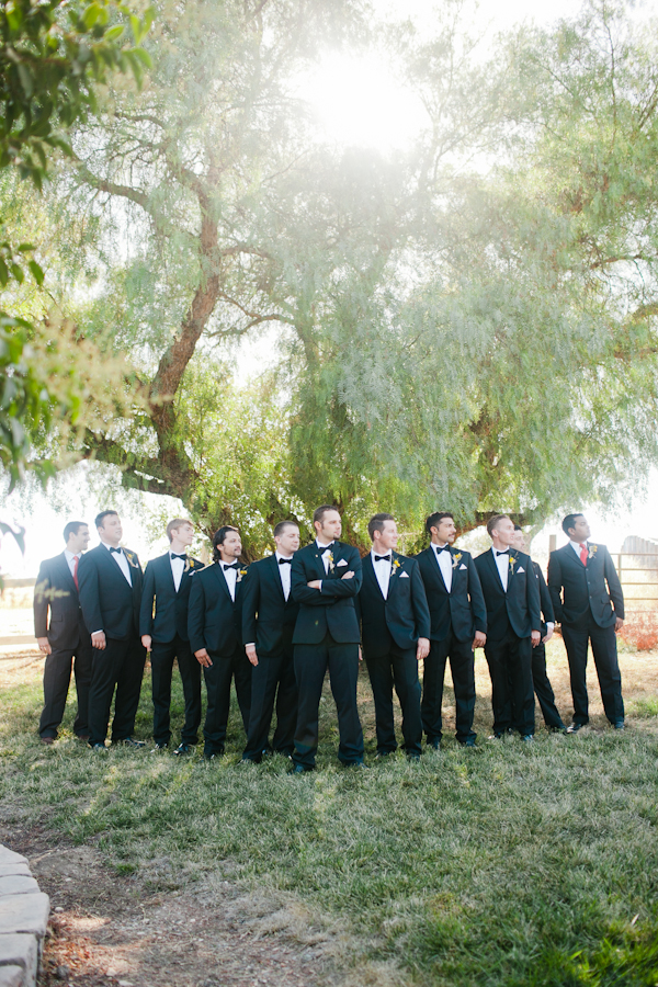 central-coast-aqua-and-poppy-wedding