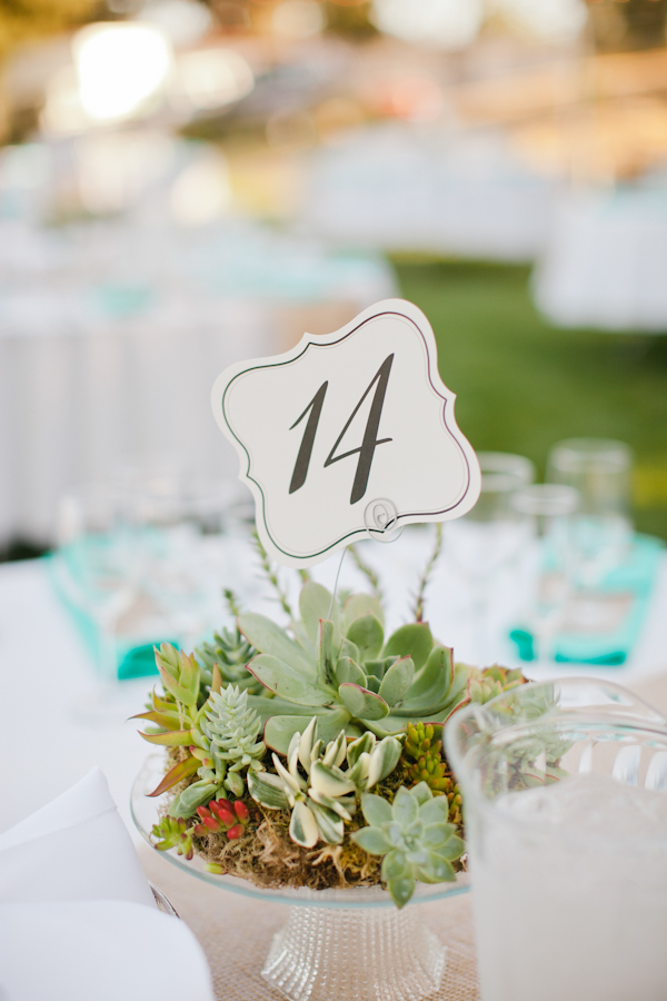 central-coast-aqua-and-poppy-wedding