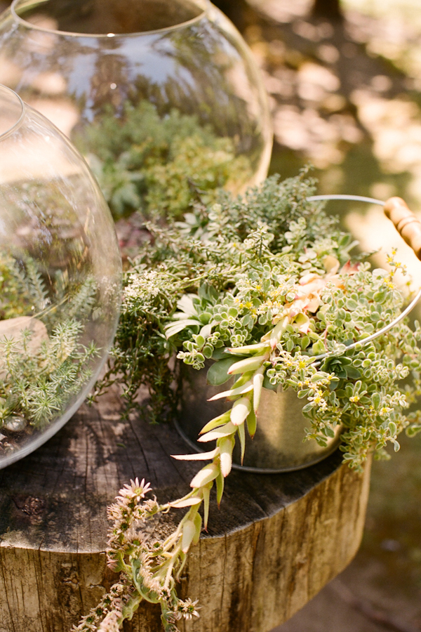 colorful-outdoor-oregon-wedding