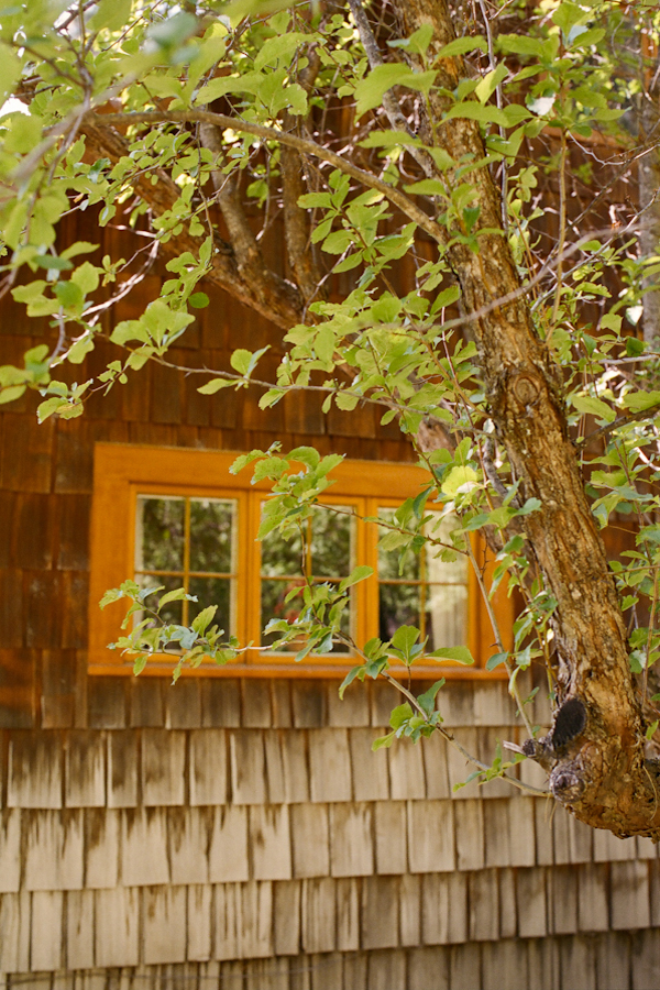 colorful-outdoor-oregon-wedding