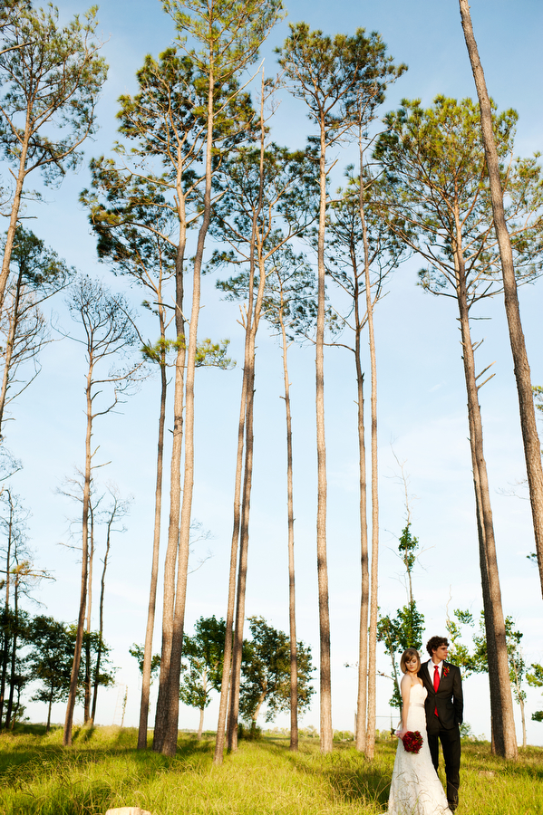 diy-red-and-white-wedding