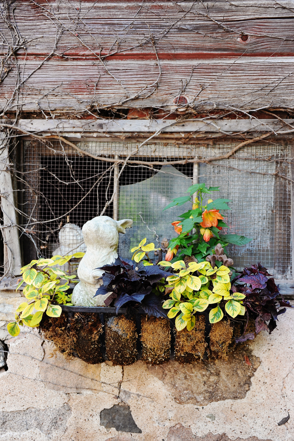 twin-cities-farm-wedding
