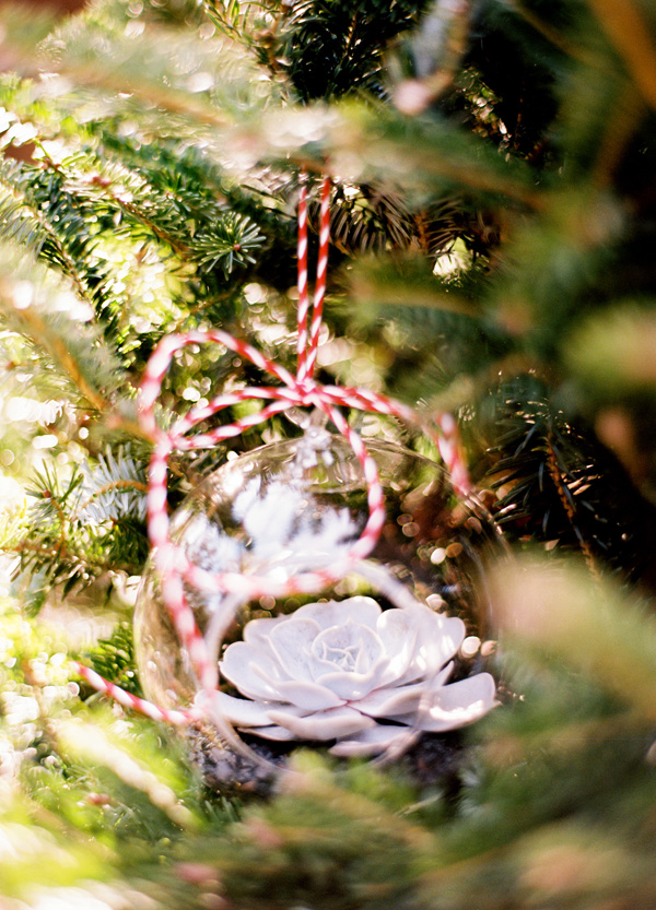 happy-first-christmas-together