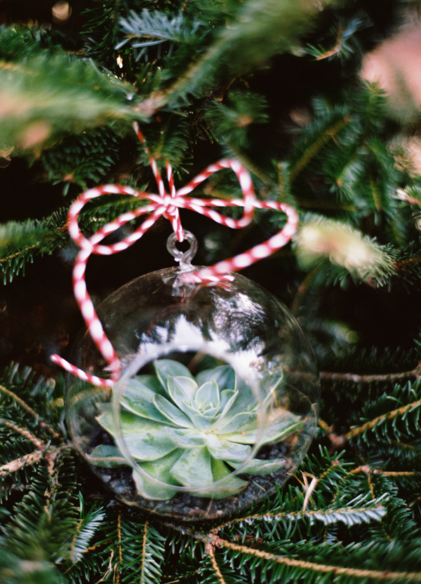 happy-first-christmas-together