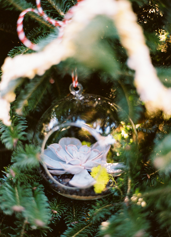 happy-first-christmas-together