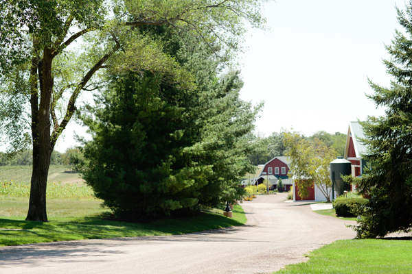 illinois-elegant-barn-wedding