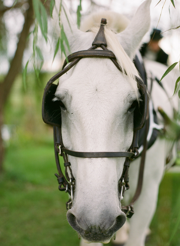 kentucky-southern-vintage-wedding