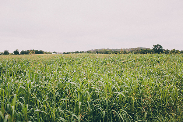 oklahoma-country-wedding-at-kilharens