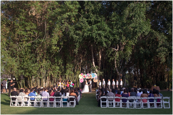 colorful-up-inspired-wedding