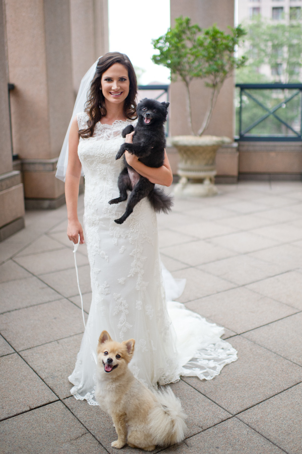Four Seasons Wedding with Dogs
