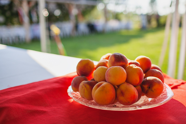 handmade-organic-farm-wedding