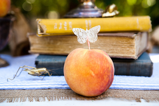 James and the Giant Peach Weding Ideas