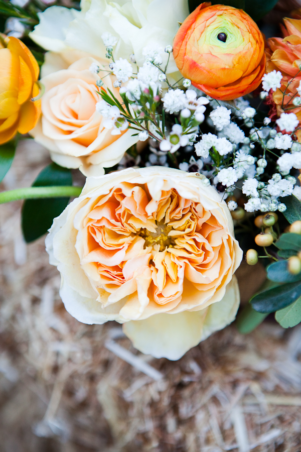james-and-the-giant-peach-weding-ideas