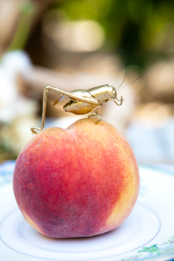 james-and-the-giant-peach-weding-ideas