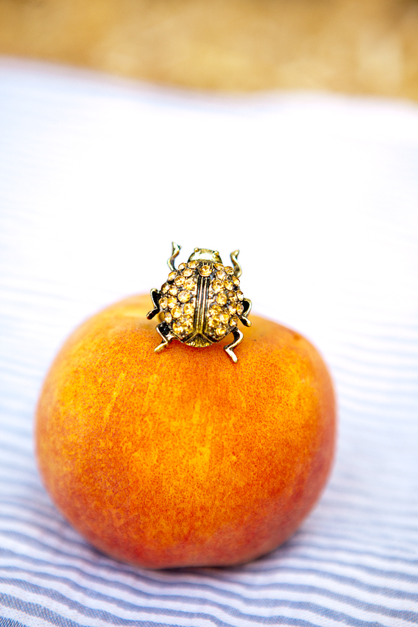 james-and-the-giant-peach-weding-ideas