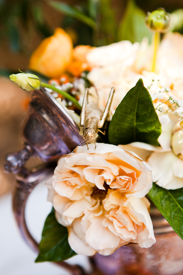 james-and-the-giant-peach-weding-ideas