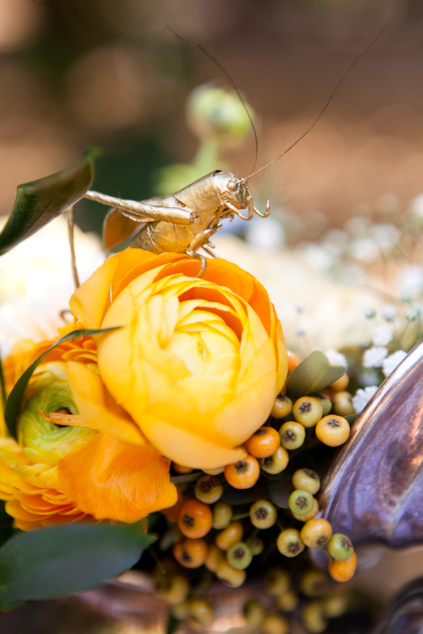 james-and-the-giant-peach-weding-ideas