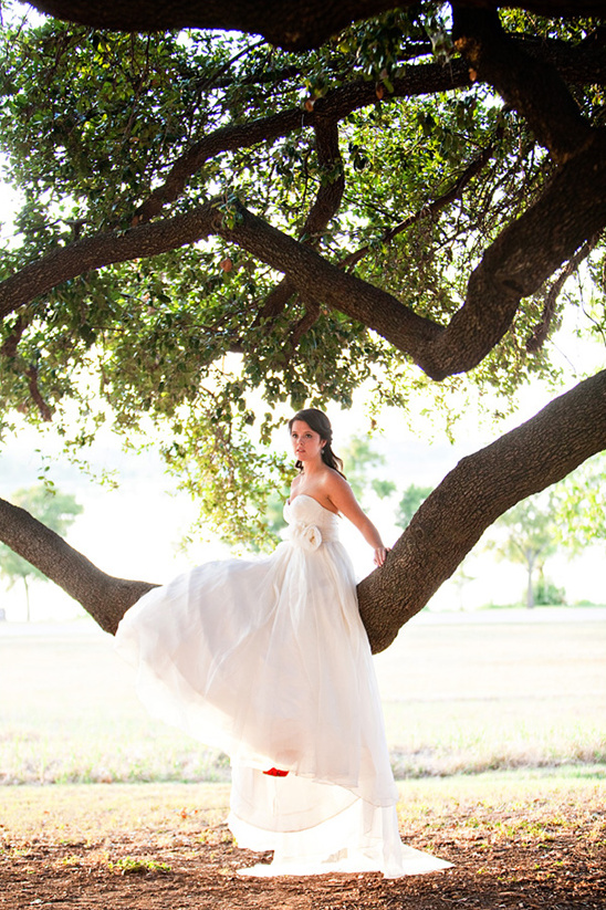 Bride in white dress sitting on a tree branch