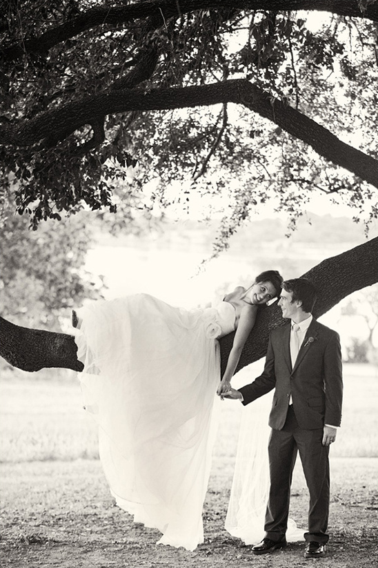 Bride and groom on tree branch wedding photo