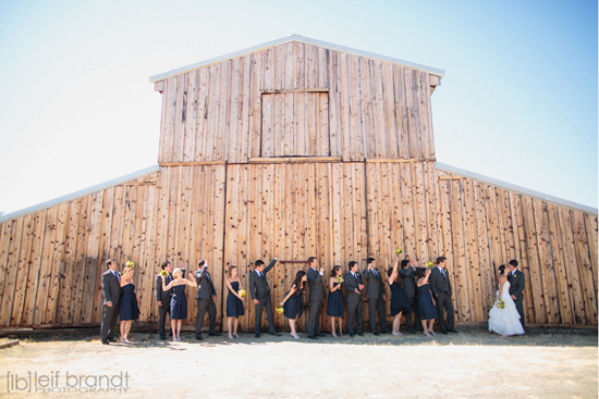 Wedding party throwing apples by a rustic barn