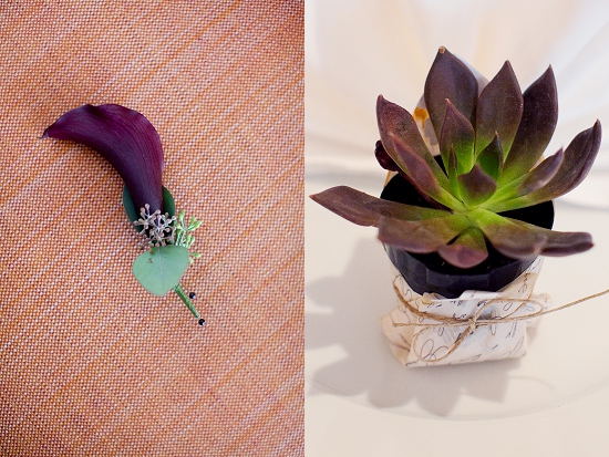 Dark calla lily boutonniere and potted succulent plant