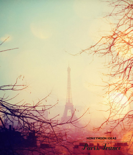 Romantic Paris Eiffel Tower honeymoon backdrop