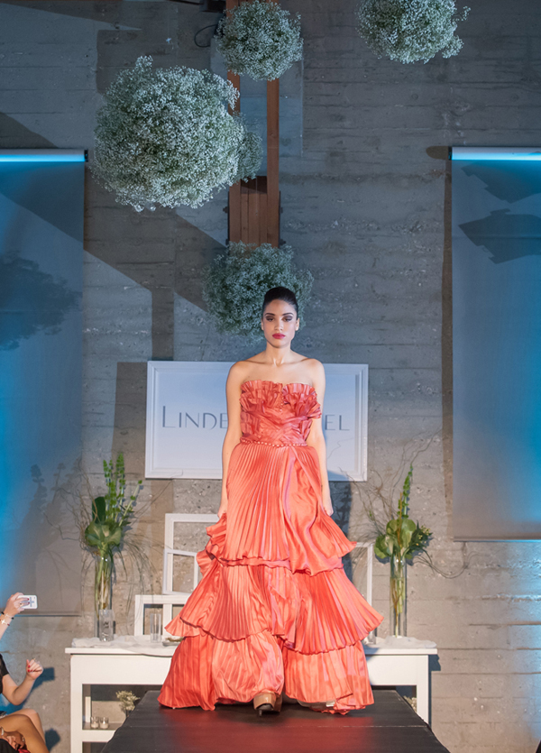 lindee-daniel-2013-collection