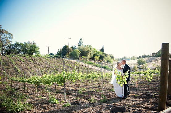 Bride and groom kissing in vineyard