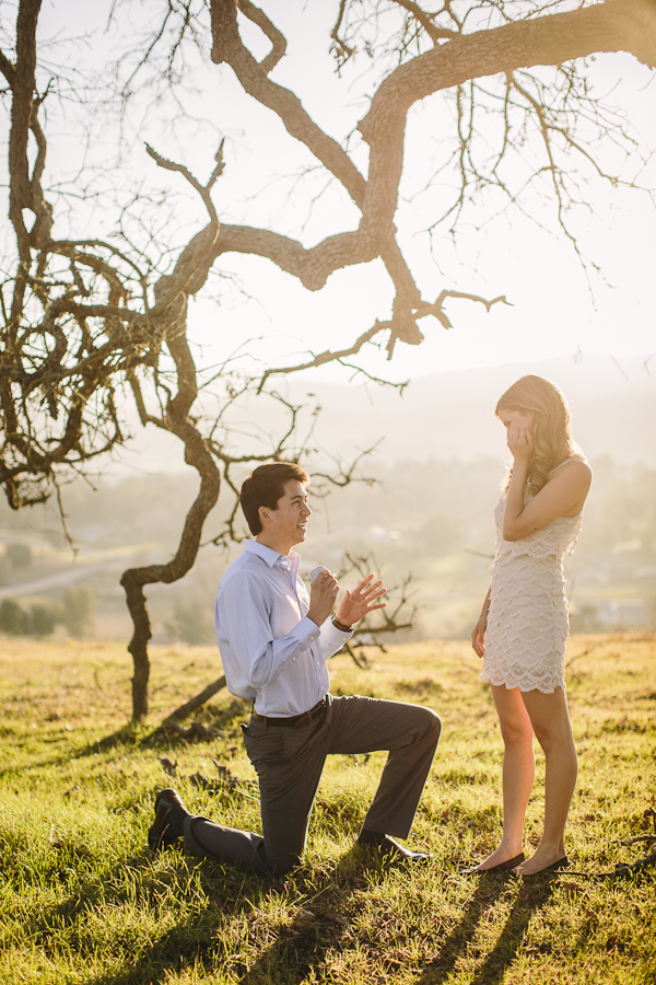 real-surprise-wedding-proposal