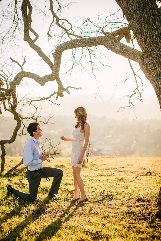 Real Surprise Wedding Proposal